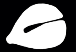 木鱼视频,带你领略经典影视的魅力之旅